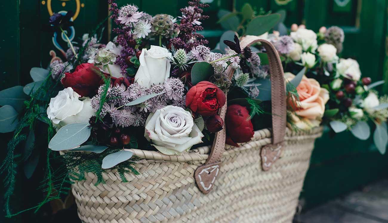 The Ultimate Guide by Bloomscape to Keeping Your Blooms Fresh